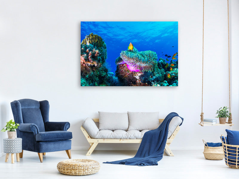 modern-3-piece-canvas-print-sea-life