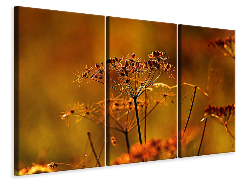 canvas-print-seeds