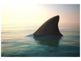 modern-4-piece-canvas-print-shark-fin