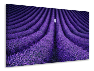 5-piece-canvas-print-she