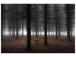 panoramic-3-piece-canvas-print-silence-ii