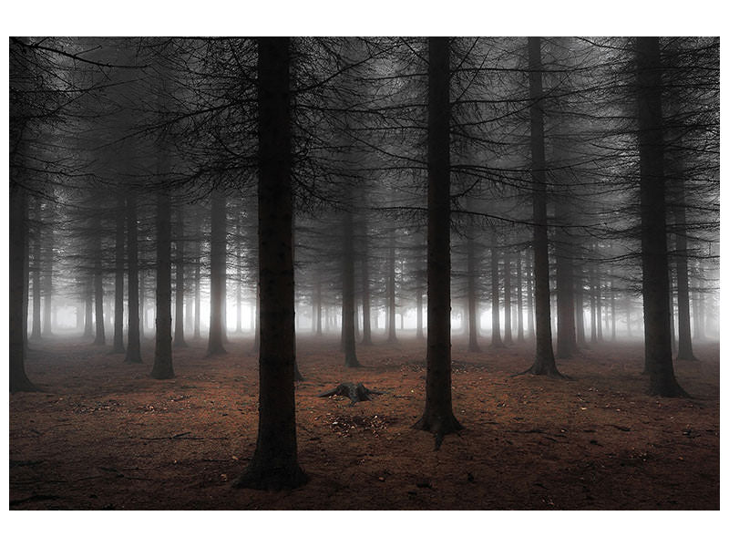 3-piece-canvas-print-silence-ii