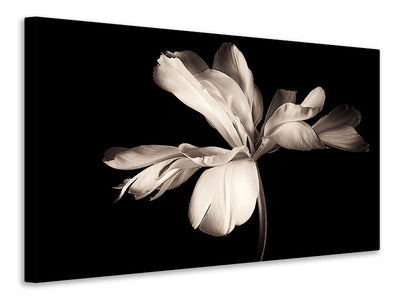 3-piece-canvas-print-simplicity