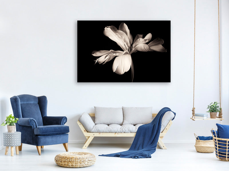5-piece-canvas-print-simplicity