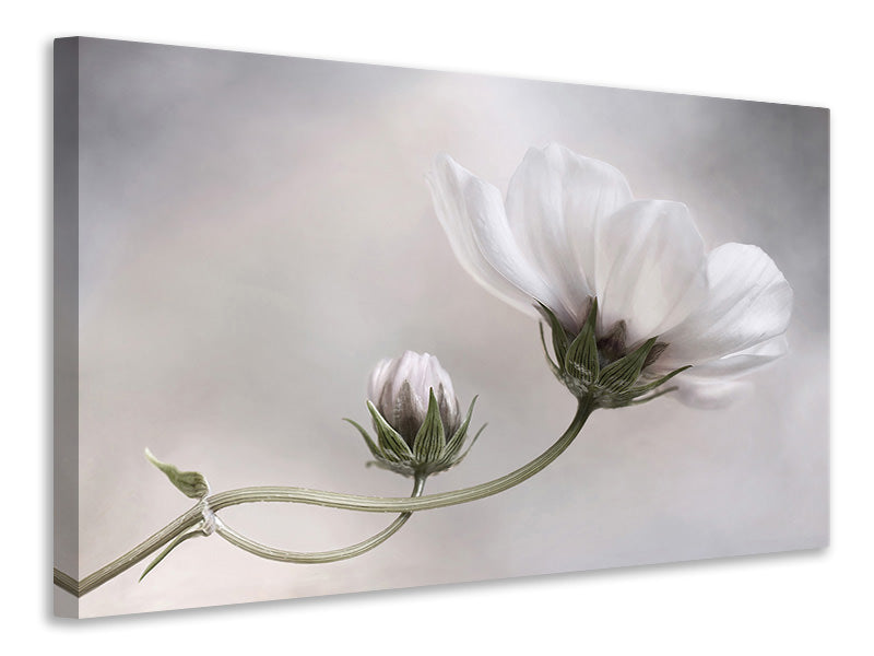 3-piece-canvas-print-simply-cosmos