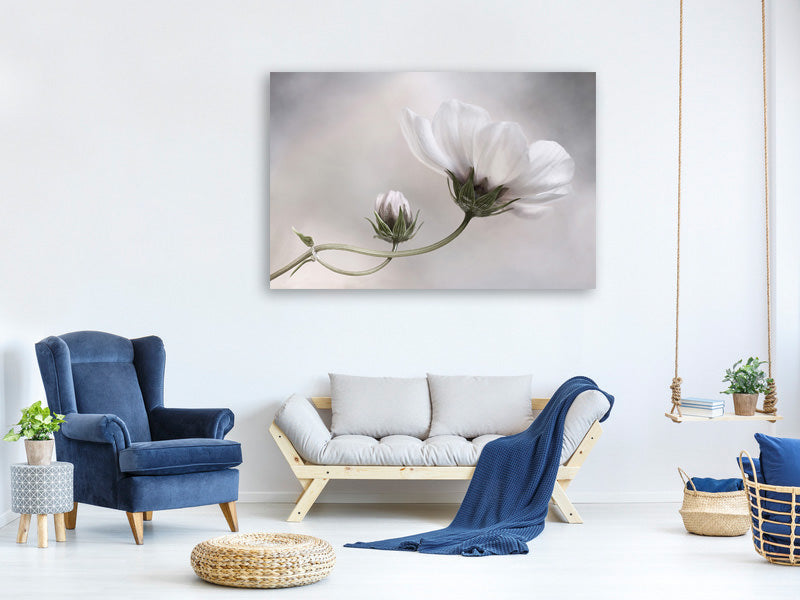 3-piece-canvas-print-simply-cosmos