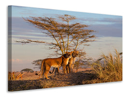 modern-3-piece-canvas-print-sisters
