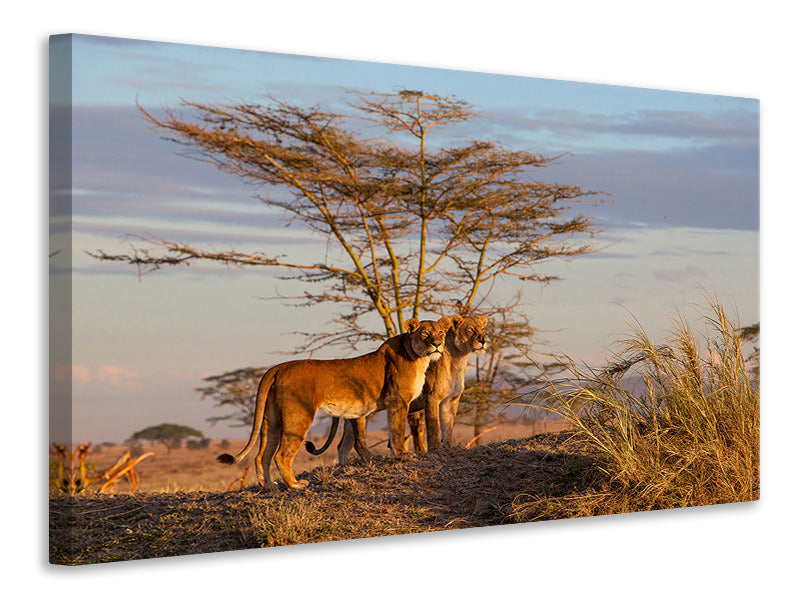 4-piece-canvas-print-sisters
