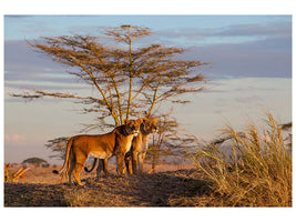 5-piece-canvas-print-sisters