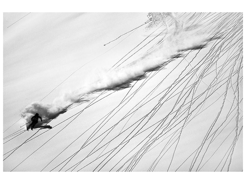 5-piece-canvas-print-skiing-powder