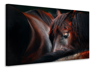 modern-3-piece-canvas-print-sleep-huddle