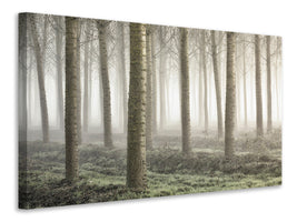 panoramic-3-piece-canvas-print-small-woodland