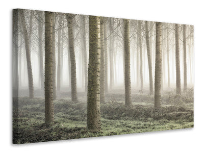 panoramic-3-piece-canvas-print-small-woodland
