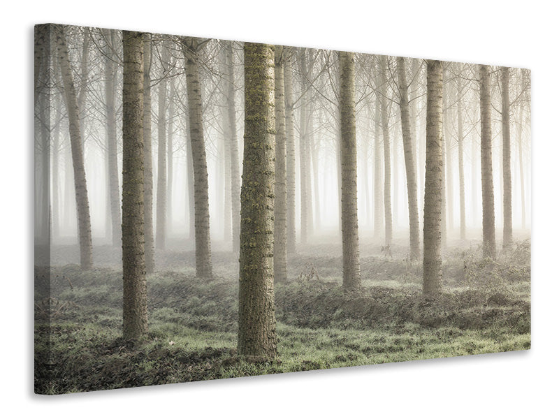 modern-4-piece-canvas-print-small-woodland