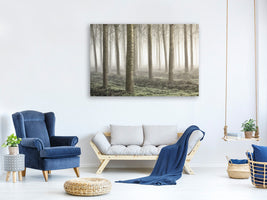 panoramic-3-piece-canvas-print-small-woodland