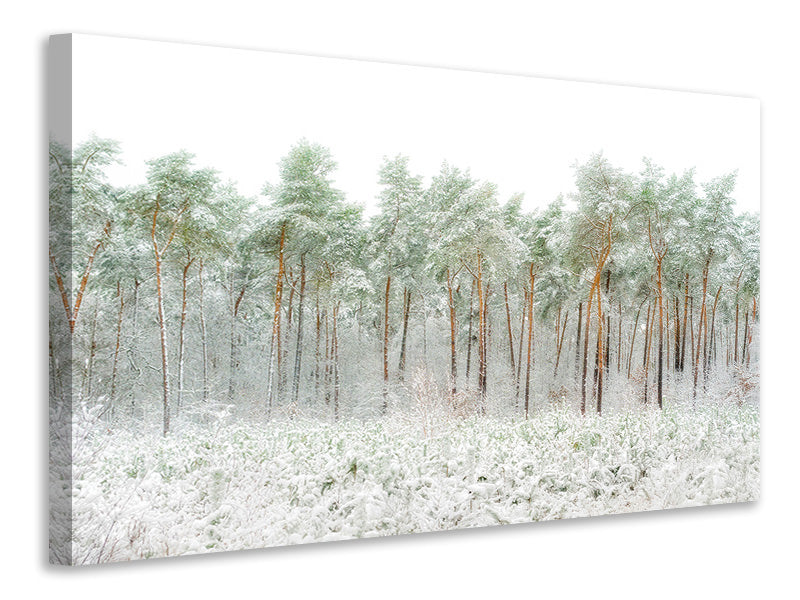 3-piece-canvas-print-snow-world