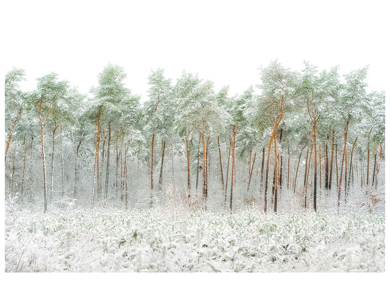 5-piece-canvas-print-snow-world