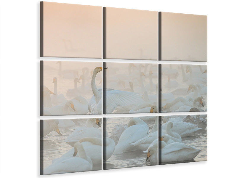 canvas-print-song-of-the-morning-light