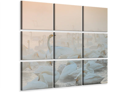 canvas-print-song-of-the-morning-light