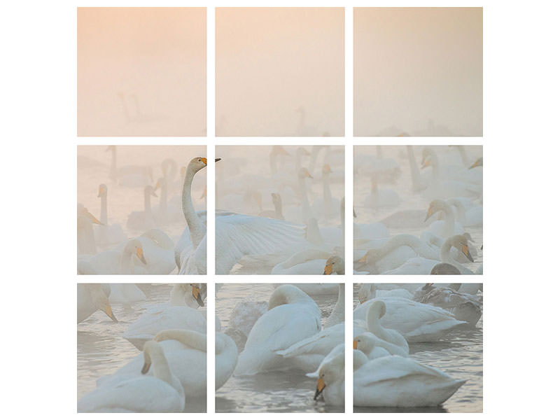 canvas-print-song-of-the-morning-light