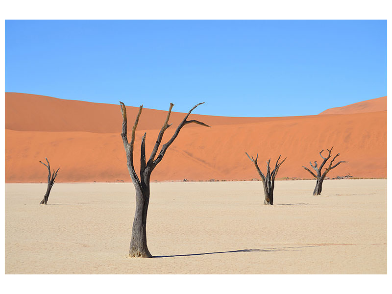 3-piece-canvas-print-sossusvlei-namibia