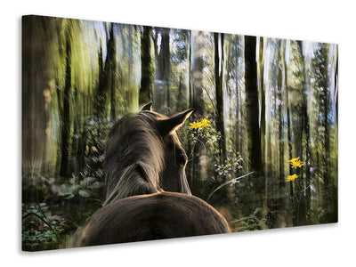 5-piece-canvas-print-sound-are-forest