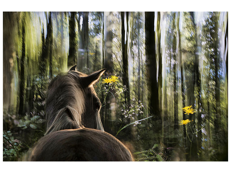 3-piece-canvas-print-sound-are-forest