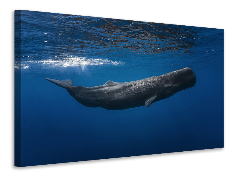3-piece-canvas-print-sperm-whale