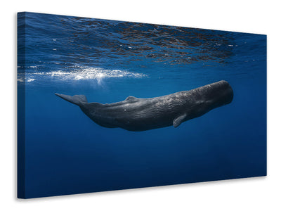 4-piece-canvas-print-sperm-whale
