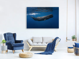 5-piece-canvas-print-sperm-whale