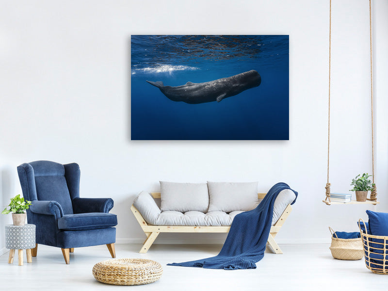 modern-3-piece-canvas-print-sperm-whale