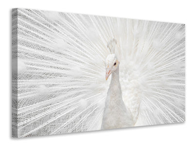 modern-3-piece-canvas-print-splendid-whitie