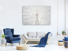 3-piece-canvas-print-splendid-whitie