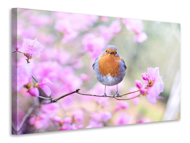 3-piece-canvas-print-spring-bird