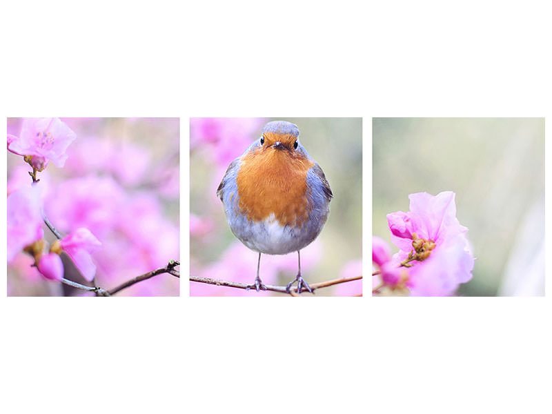 3-piece-canvas-print-spring-bird