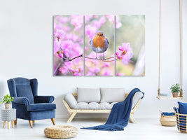 panoramic-3-piece-canvas-print-spring-bird
