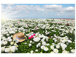 5-piece-canvas-print-spring-flower-meadow