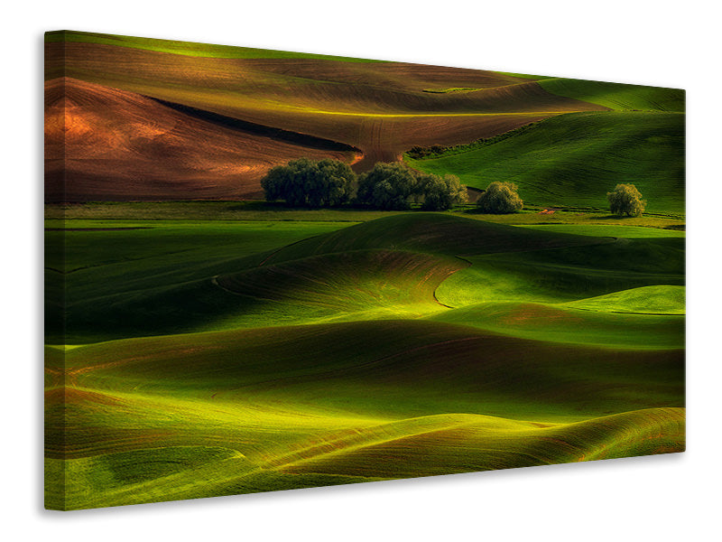 modern-4-piece-canvas-print-spring-in-the-palouse