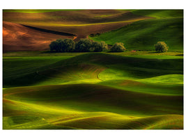 modern-3-piece-canvas-print-spring-in-the-palouse