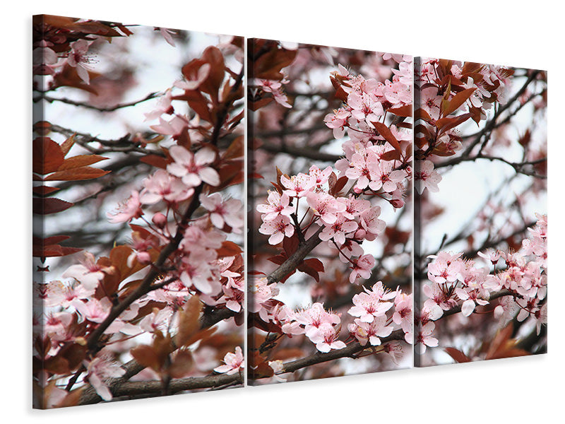 panoramic-3-piece-canvas-print-spring-is-here