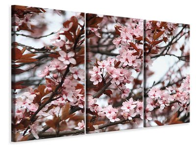 panoramic-3-piece-canvas-print-spring-is-here