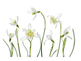 3-piece-canvas-print-spring-snowdrops
