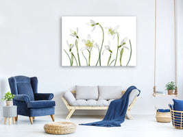 3-piece-canvas-print-spring-snowdrops