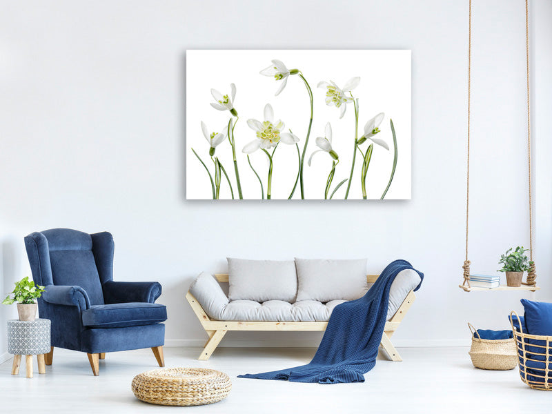 3-piece-canvas-print-spring-snowdrops