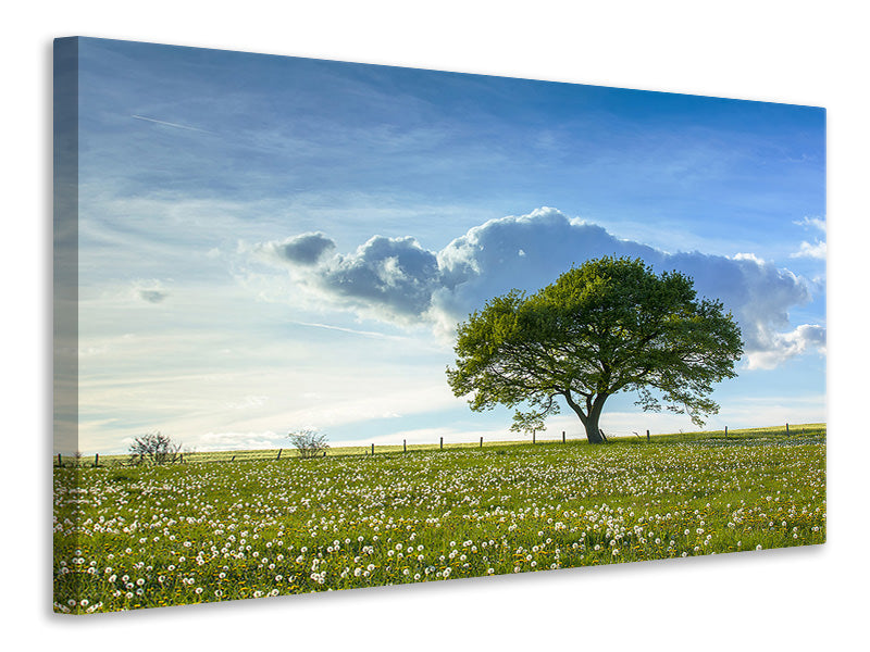 modern-4-piece-canvas-print-spring-tree