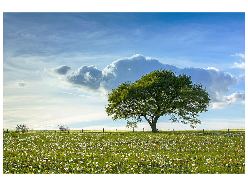 modern-3-piece-canvas-print-spring-tree