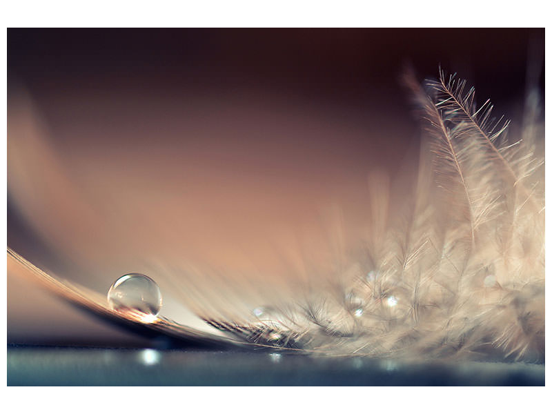 3-piece-canvas-print-stories-of-drops