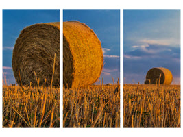 canvas-print-straw-bales