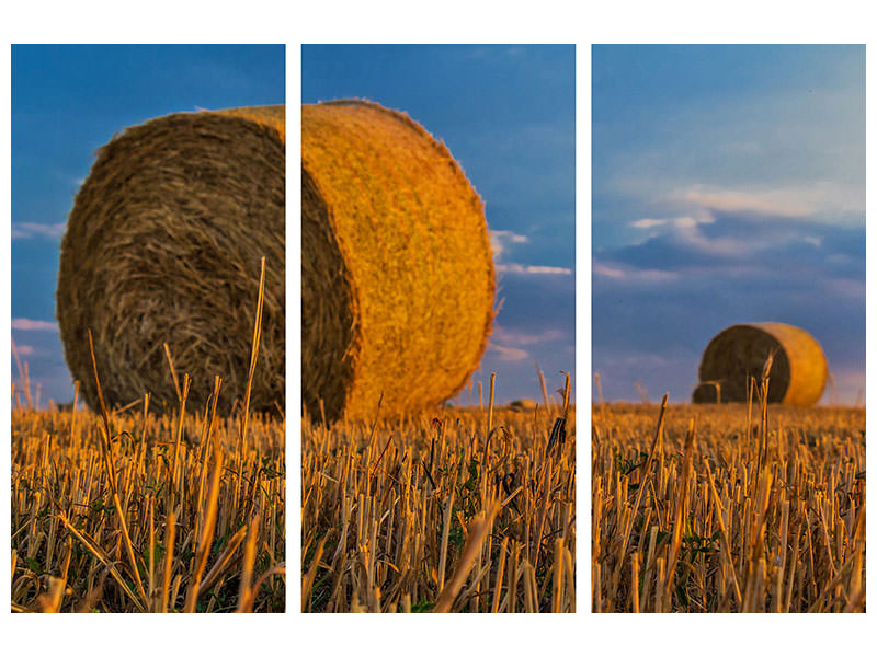 canvas-print-straw-bales