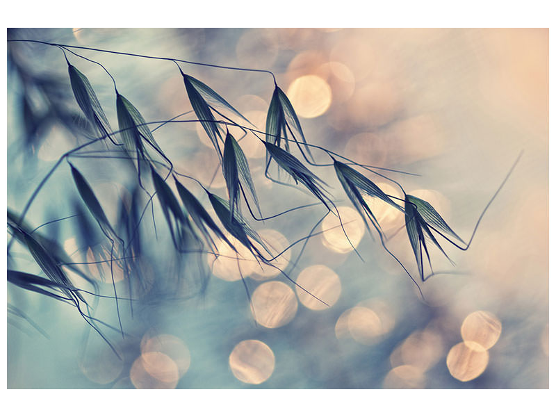 modern-4-piece-canvas-print-straws